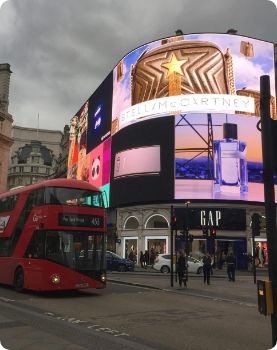 Campaign & Marketing
